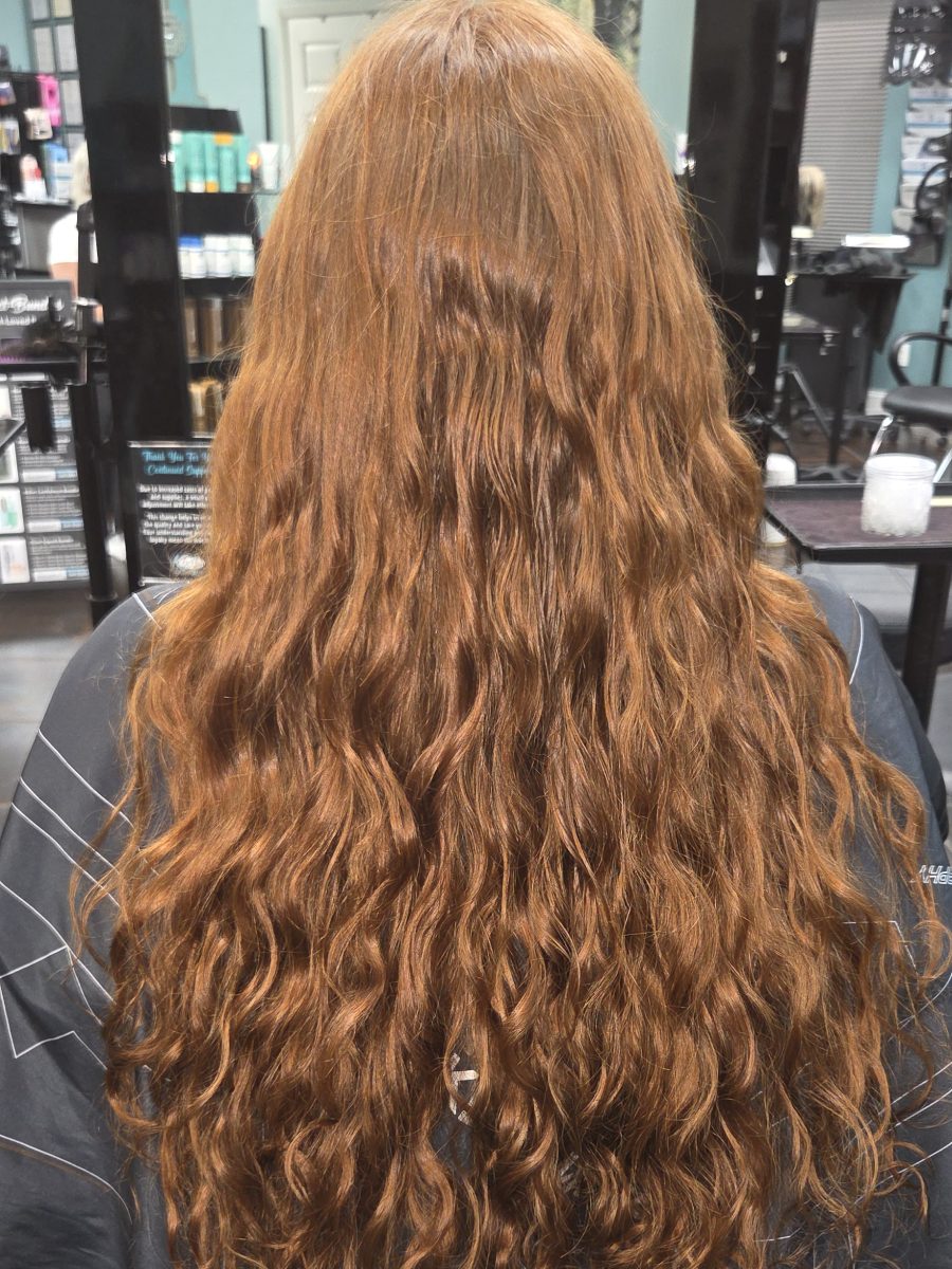 Donation haircut 14 inches before treatment by Katie Rowe at K Bella Hair Studio in Brighton, MI