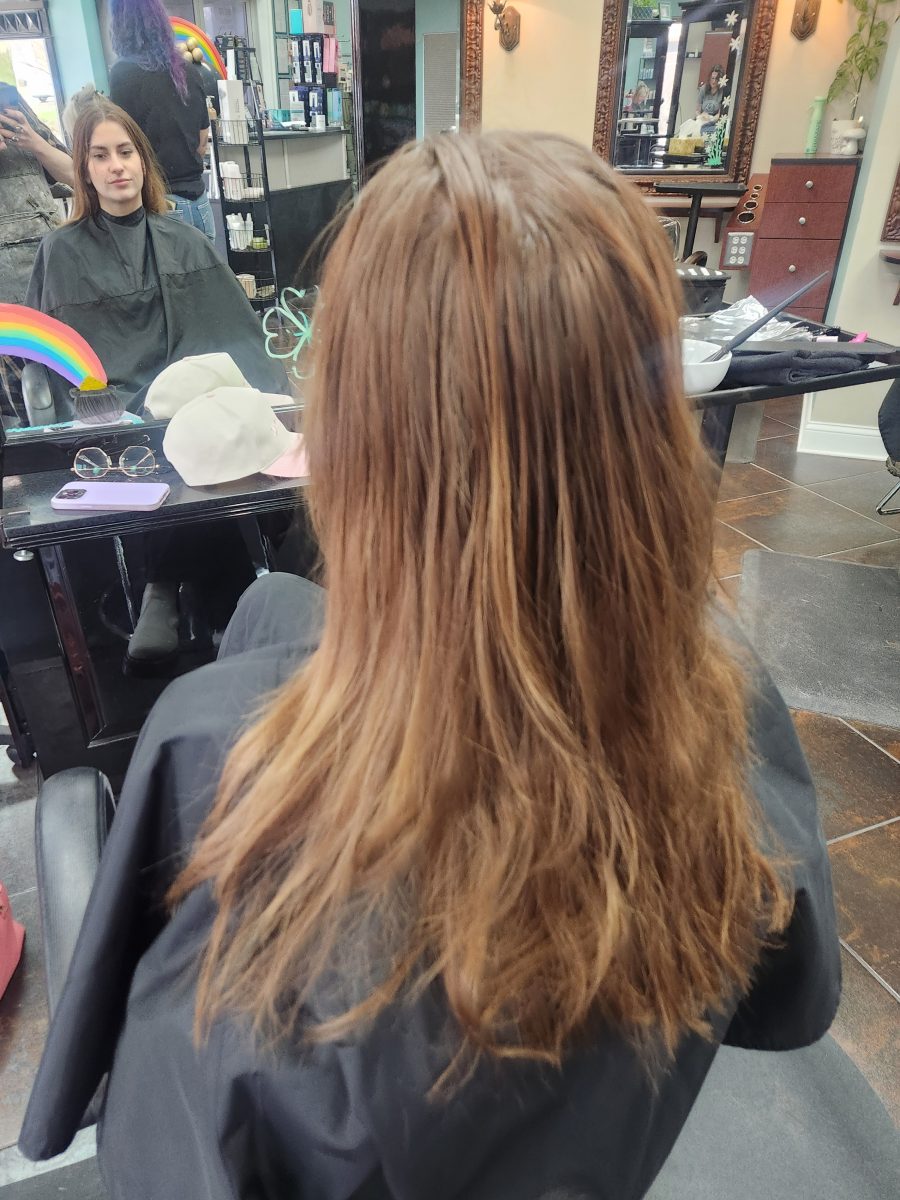 Pink balayage/dark shadow root/lava girl before treatment by Siobhan Rozinski at K Bella Hair Studio in Brighton, MI