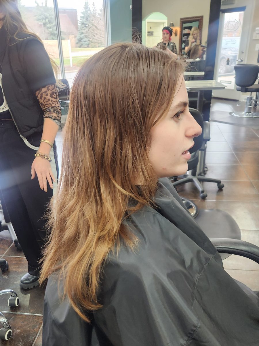 Pink balayage/dark shadow root/lava girl before treatment by Siobhan Rozinski at K Bella Hair Studio in Brighton, MI