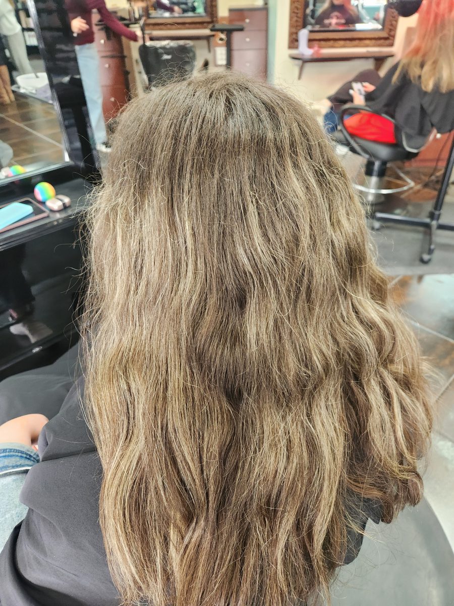 Back view of long brunette hair before highlights and trim by Siobhan Rozinski at K Bella Hair Studio & Spa in Brighton, MI