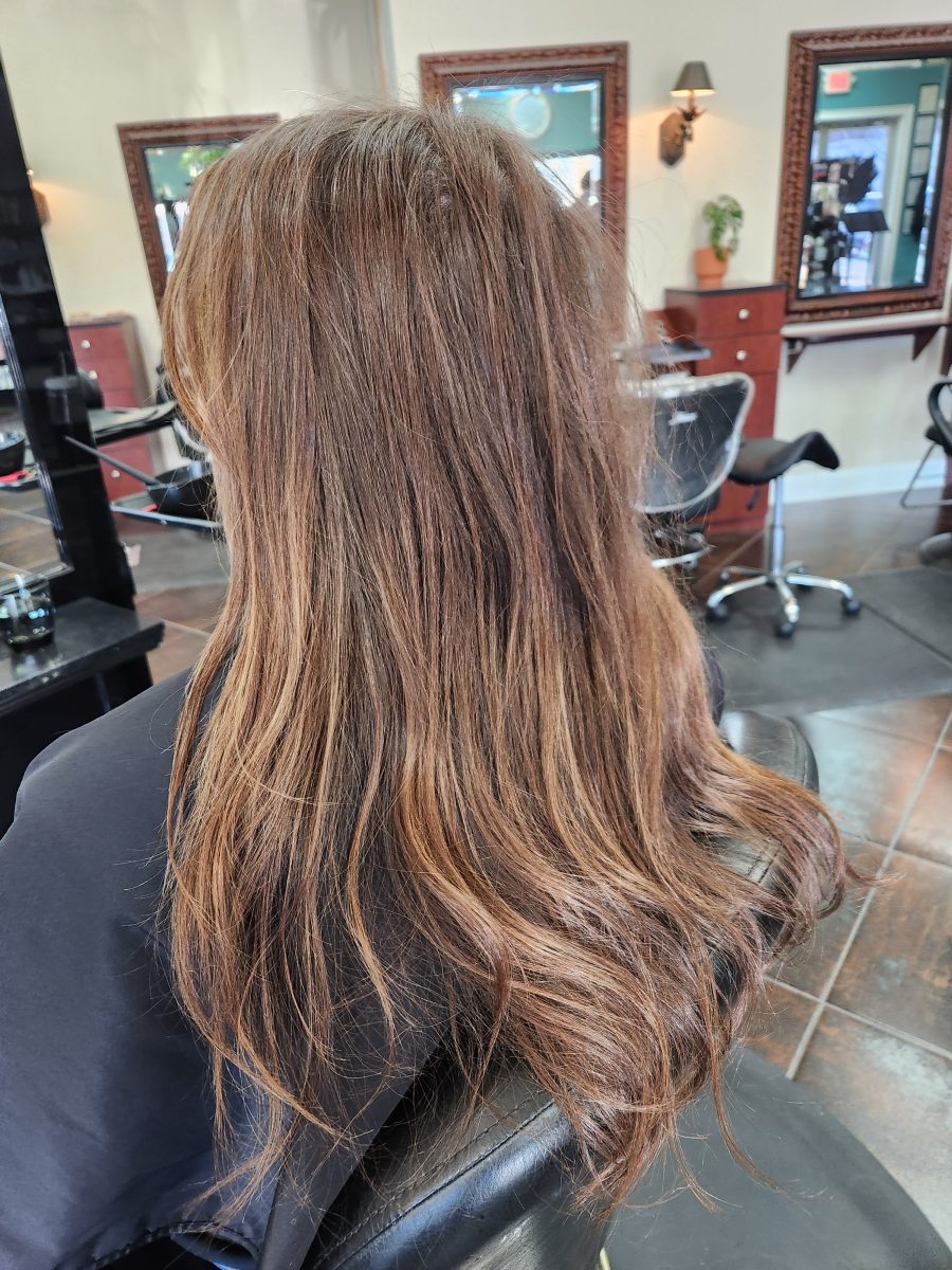 Balayage/cut before treatment by Siobhan Rozinski at K Bella Hair Studio in Brighton, MI