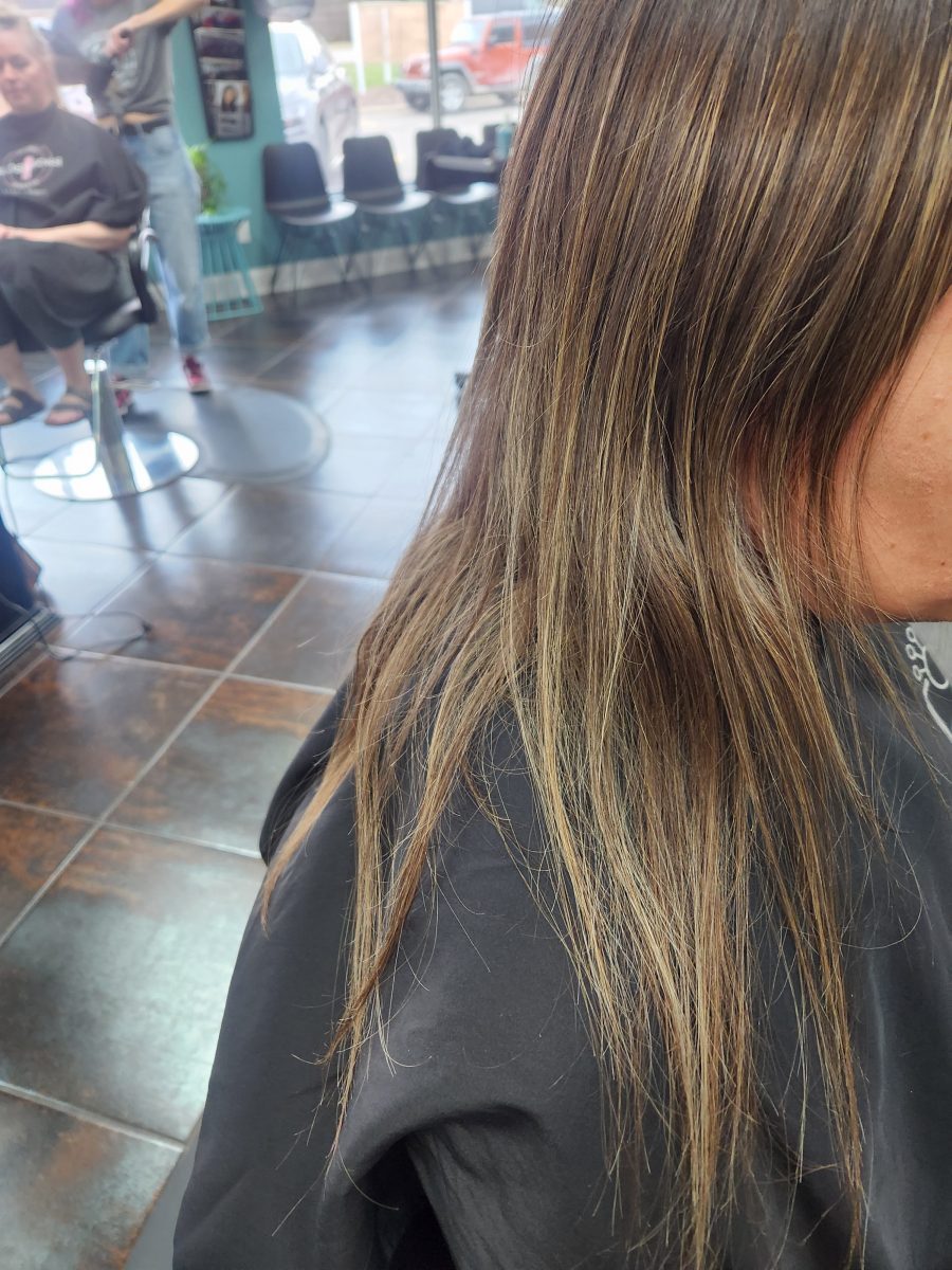 Balayage/cut before treatment by Siobhan Rozinski at K Bella Hair Studio in Brighton, MI