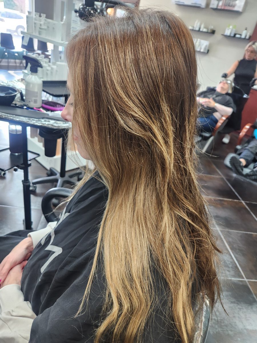 Balayage/cut before treatment by Siobhan Rozinski at K Bella Hair Studio in Brighton, MI