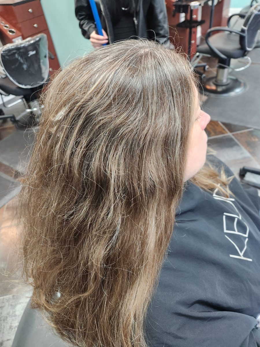 Gray blending & haircut before treatment by Siobhan Rozinski at K Bella Hair Studio & Spa in Brighton, MI