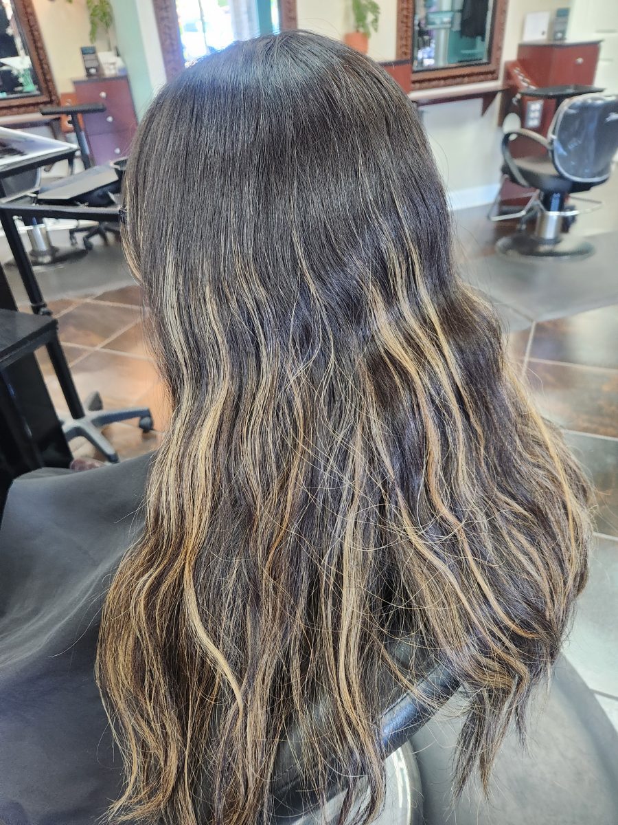 Back view of long dark hair with minimal texture before balayage, by Siobhan Rozinski at K Bella Hair Studio & Spa in Brighton, MI
