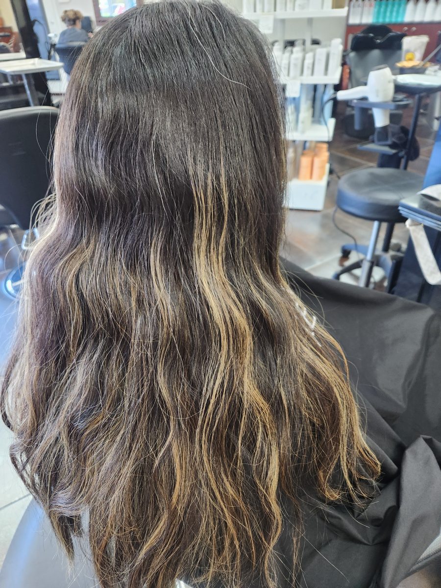 Balayage & cut before treatment by Siobhan Rozinski at K Bella Hair Studio & Spa in Brighton, MI