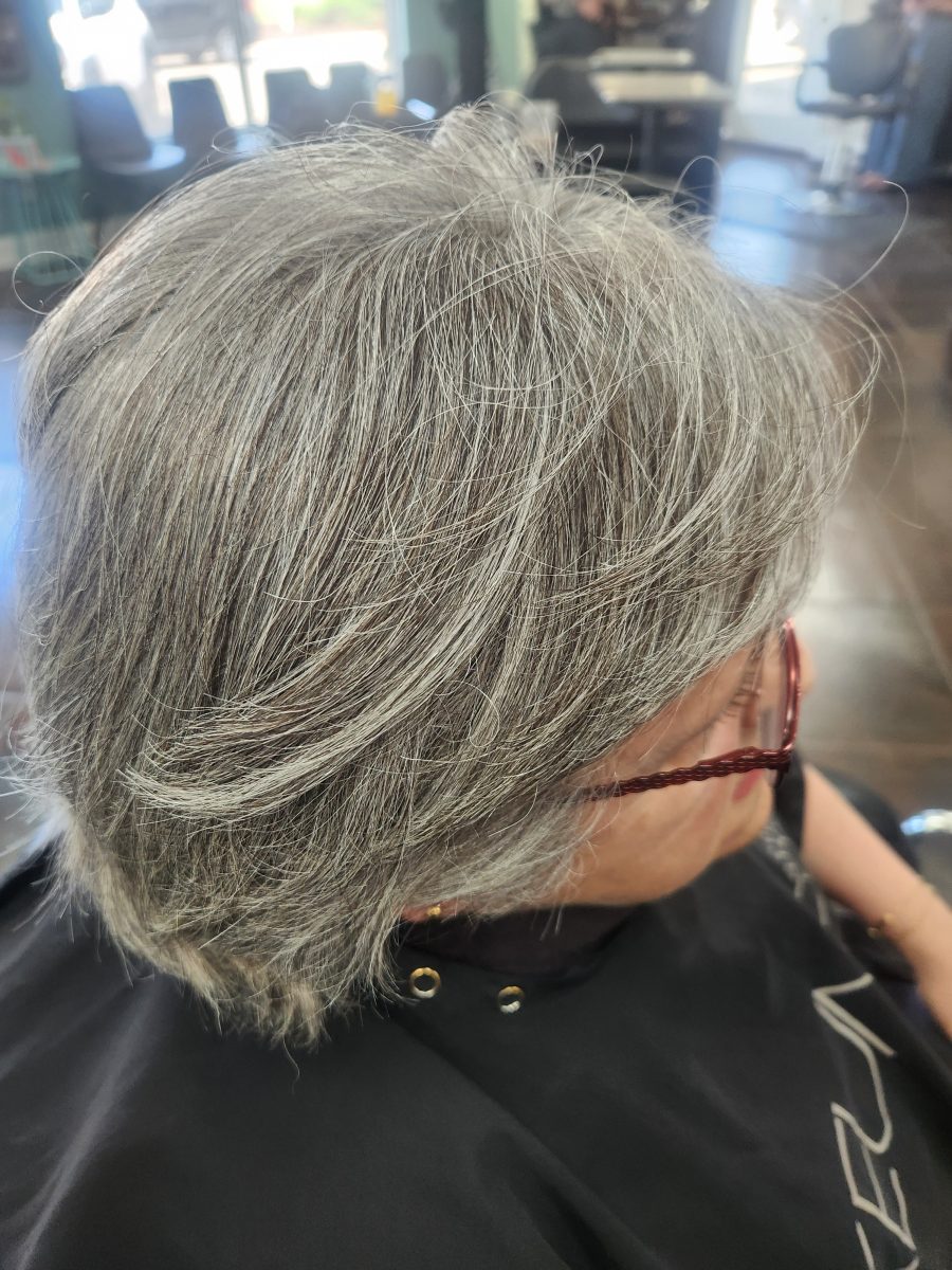 Gray blending/layered shaping cut before treatment by Siobhan Rozinski at K Bella Hair Studio & Spa in Brighton, MI