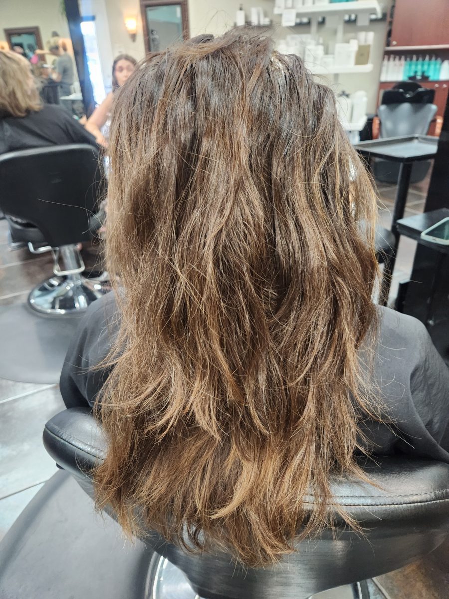 Balayage/lowlite/root & cut before treatment by Siobhan Rozinski at K Bella Hair Studio & Spa in Brighton, MI