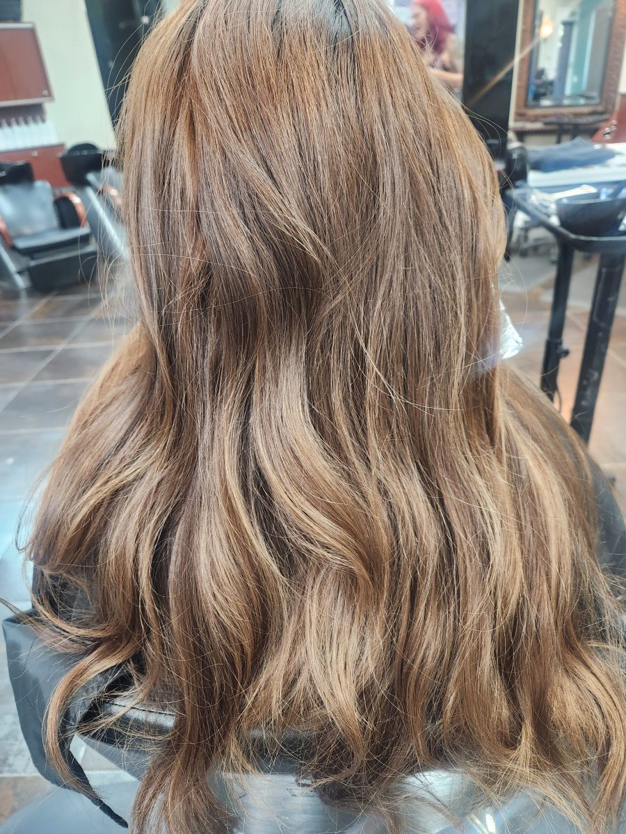 Color/balayage/cut before treatment by Siobhan Rozinski at K Bella Hair Studio & Spa in Brighton, MI