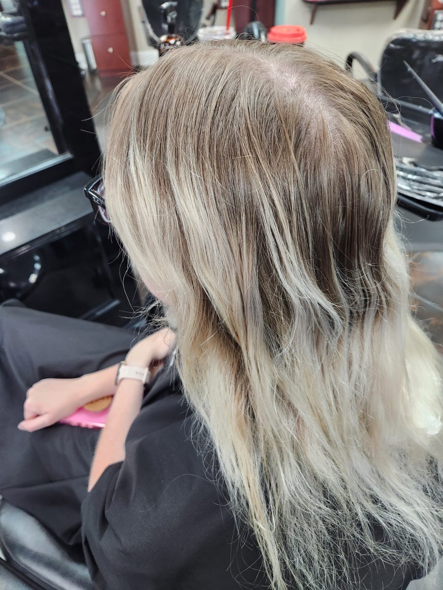Platinum balayage w/smokey shadow root & cut before treatment by Siobhan Rozinski at K Bella Hair Studio & Spa in Brighton, MI