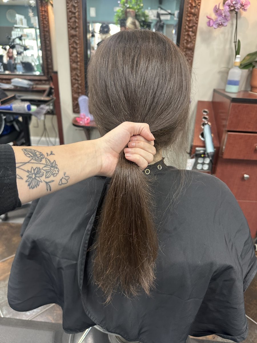 2 rows of tape-in weft extensions before treatment by Kameryn Bell at K Bella Hair Studio & Spa in Brighton, MI