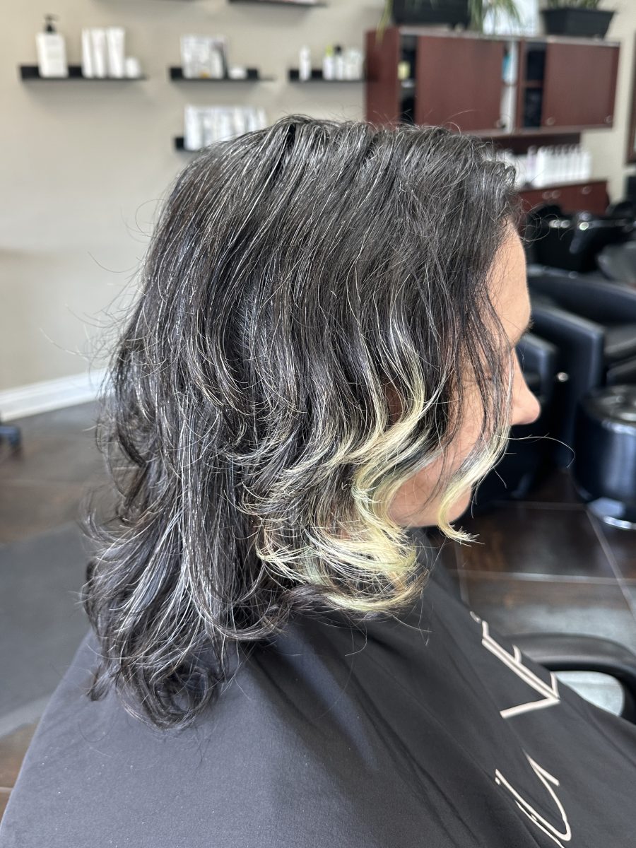 Partial vivid application, split dye with peacock colored prisms before treatment by Liberty Greenwood at K Bella Hair Studio & Spa in Brighton, MI