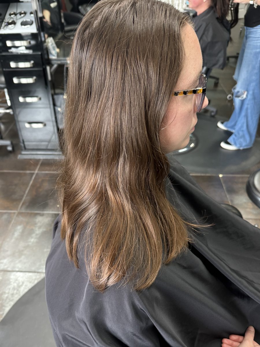 Side profile of long brunette hair before color service at K Bella Hair Studio & Spa in Brighton, MI by Liberty Greenwood