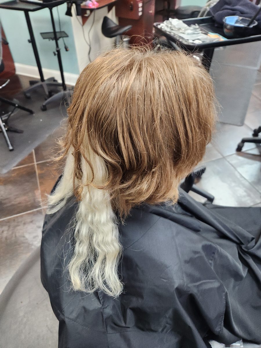 Back view of shoulder-length hair with vivid rocket pop color in two rattails against brown base by Siobhan Rozinski at K Bella Hair Studio & Spa in Brighton, MI