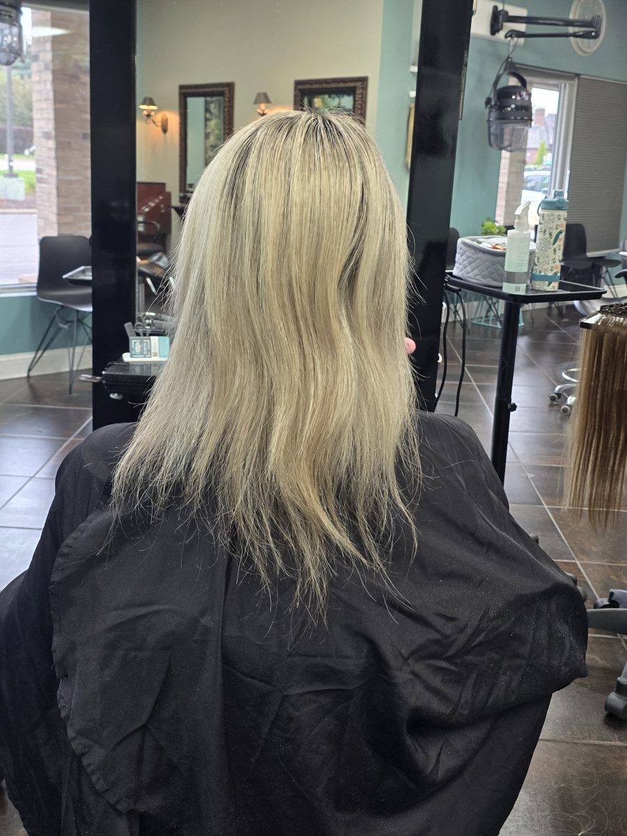 Back view of long blonde hair before color and extension service by Kristan Sayers at K Bella Hair Studio & Spa in Brighton, MI