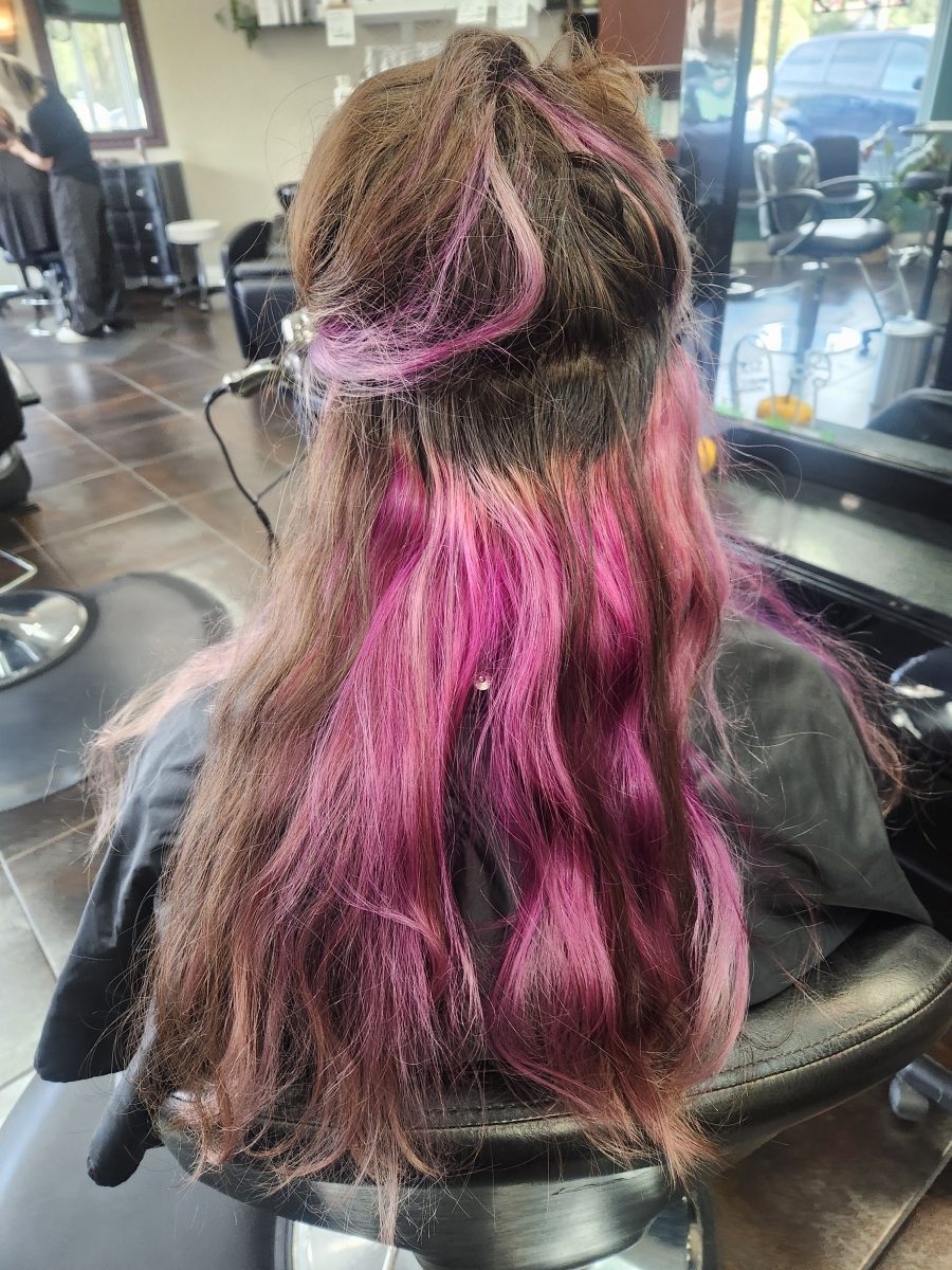 Back view of long hair with vivid pink peekaboo highlights and money piece, layered cut, by Siobhan Rozinski at K Bella Hair Studio & Spa in Brighton, MI