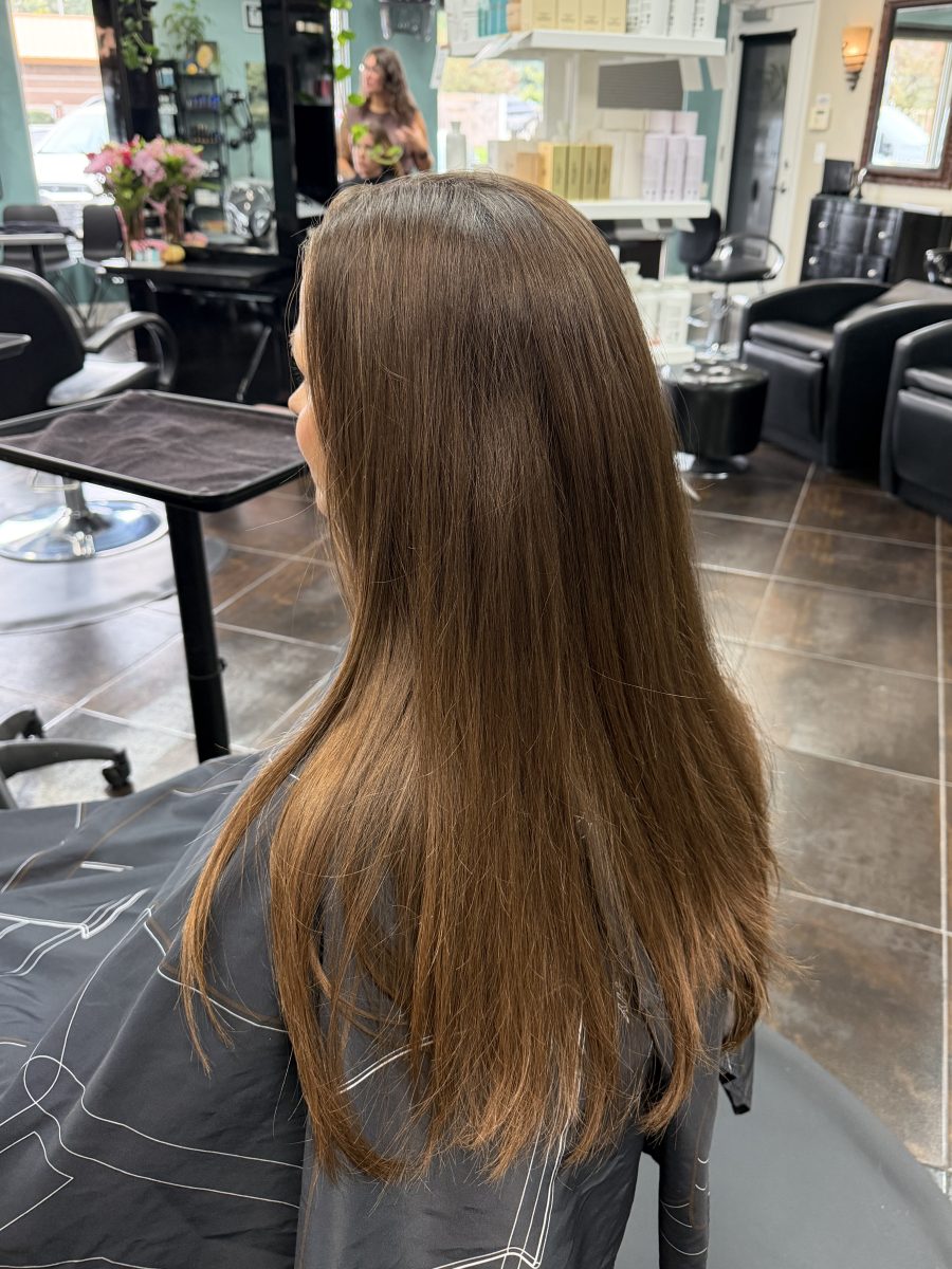 Back view of long brunette hair before a haircut by Katie Rowe at K Bella Hair Studio & Spa in Brighton, MI