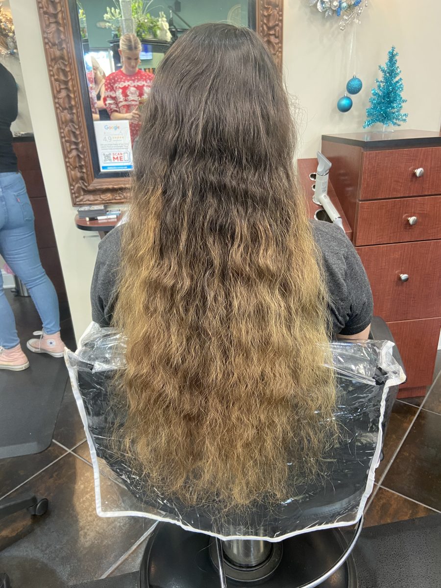 Vivid Balayage before treatment by Kameryn Bell at K Bella Hair Studio in Brighton, MI