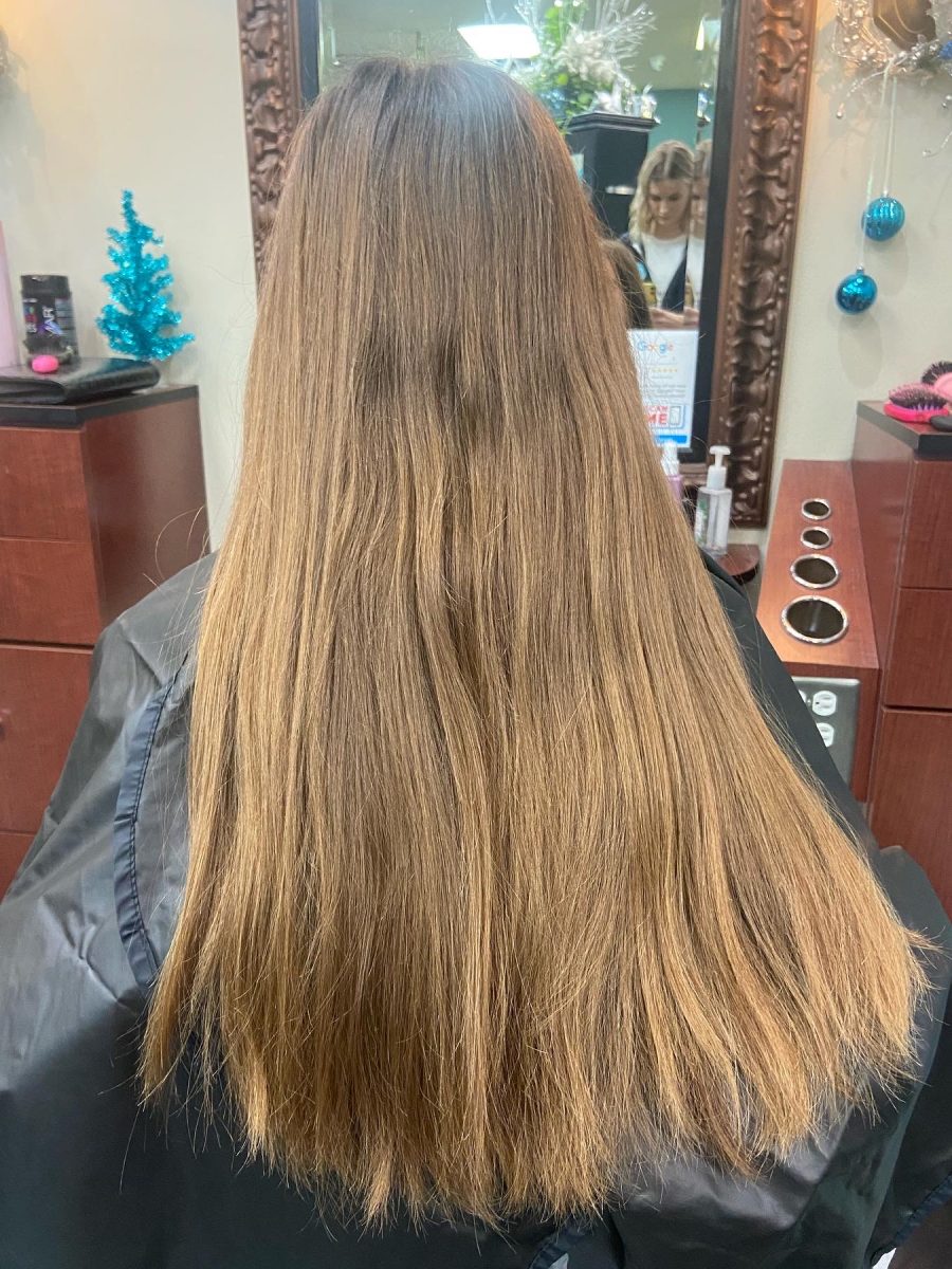 Partial Balayage before treatment by Kameryn Bell at K Bella Hair Studio in Brighton, MI