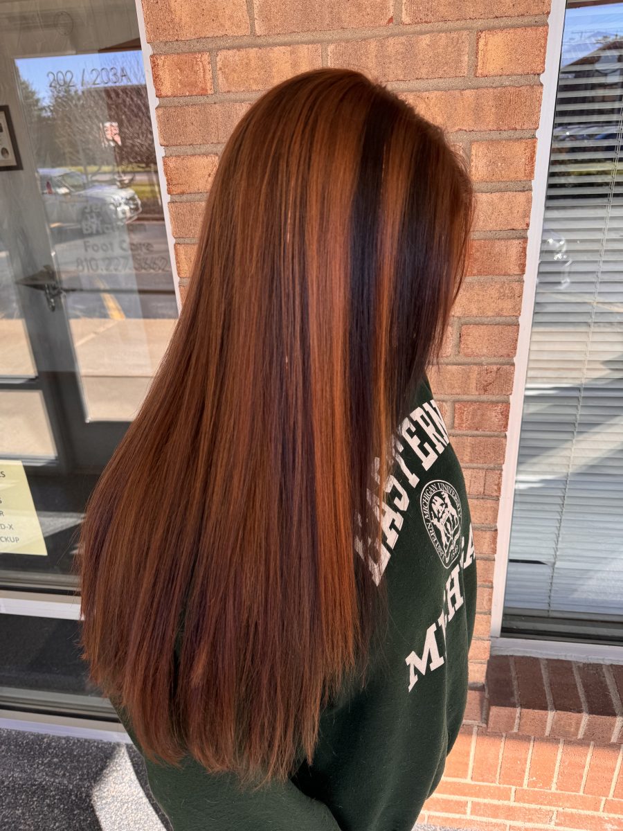 Rear view of long copper-colored hair with dark shadow highlights, styled straight, by Kristan Sayers at K Bella Hair Studio & Spa in Brighton, MI