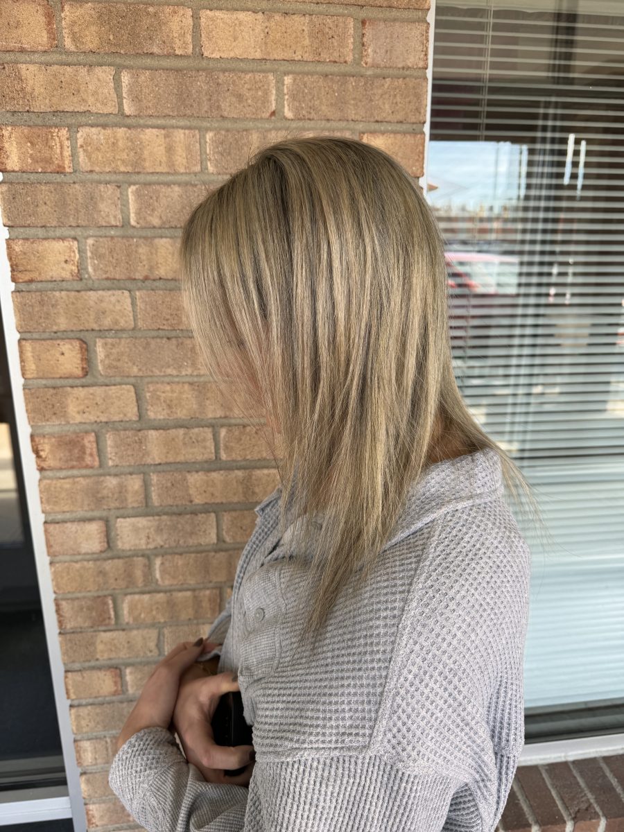 Before image showing back view of shoulder-length straight hair with neutral blonde tones, by Kristan Sayers at K Bella Hair Studio & Spa in Brighton, MI