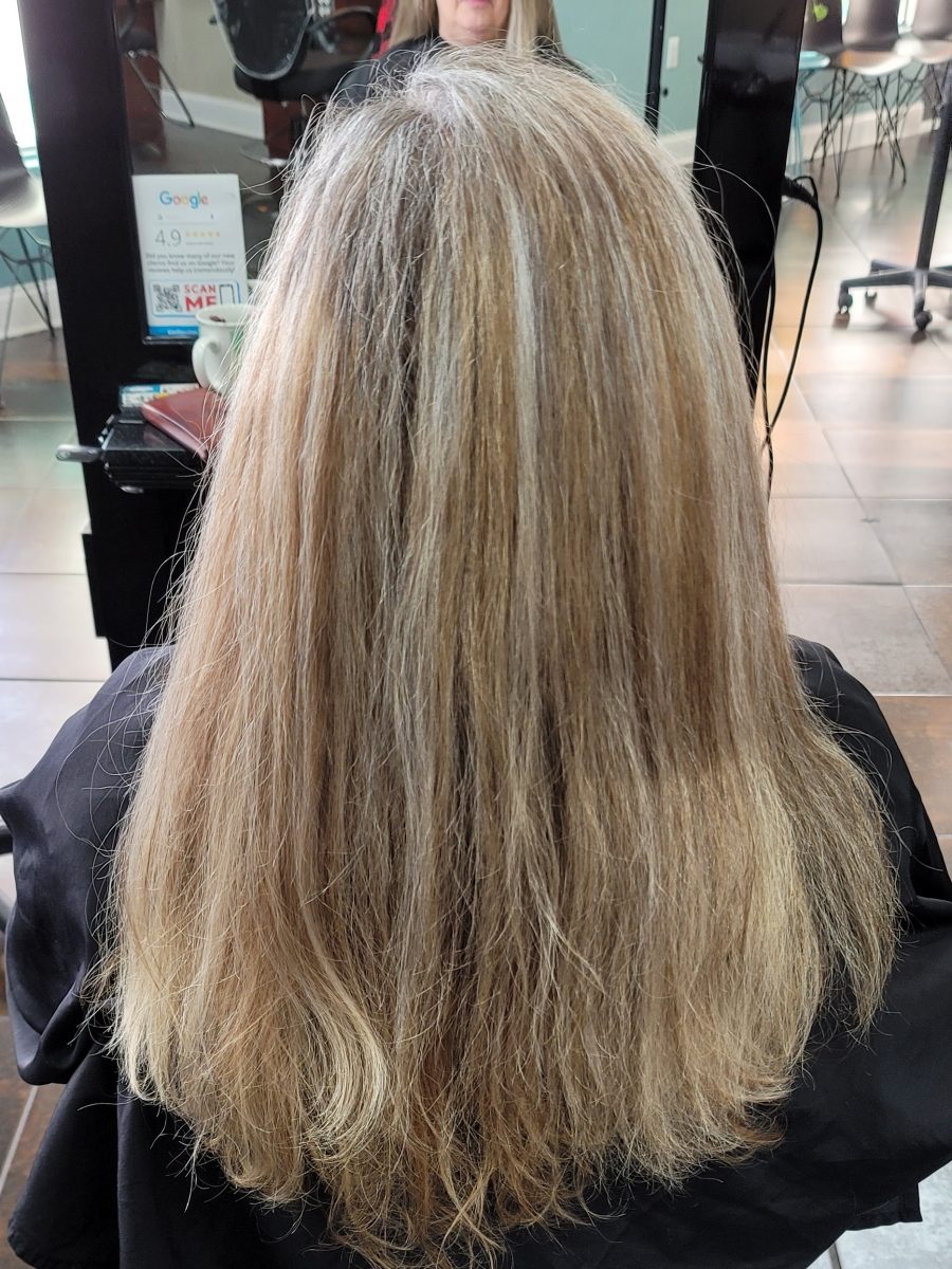 Chunky Highlights & Concave Long Layer Haircut - Before & After before treatment by Kristan Sayers at K Bella Hair Studio in Brighton, MI