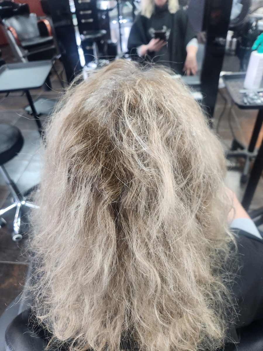 Back view of blonde hair with uneven tone, brassy patches, and visible damage before color correction by Siobhan Rozinski at K Bella Hair Studio & Spa in Brighton, MI
