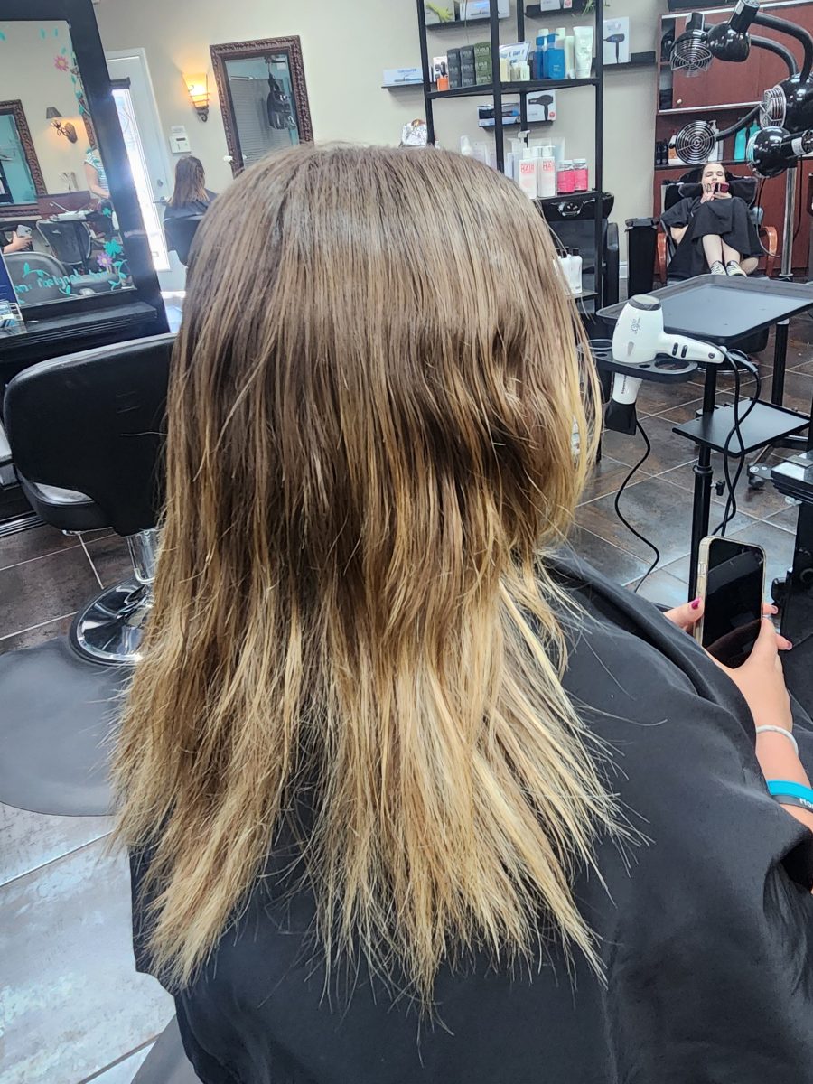 Blonde Balayage Reconstruct before treatment by Siobhan Rozinski at K Bella Hair Studio in Brighton, MI