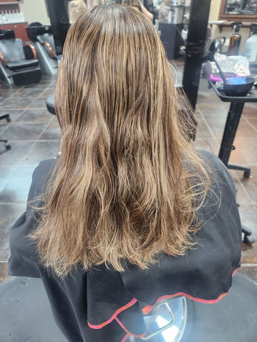 Balayage/cut before treatment by Siobhan Rozinski at K Bella Hair Studio in Brighton, MI