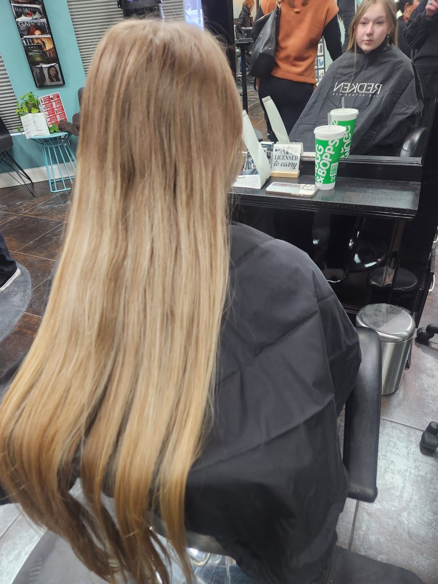 Balayage/cut before treatment by Siobhan Rozinski at K Bella Hair Studio in Brighton, MI