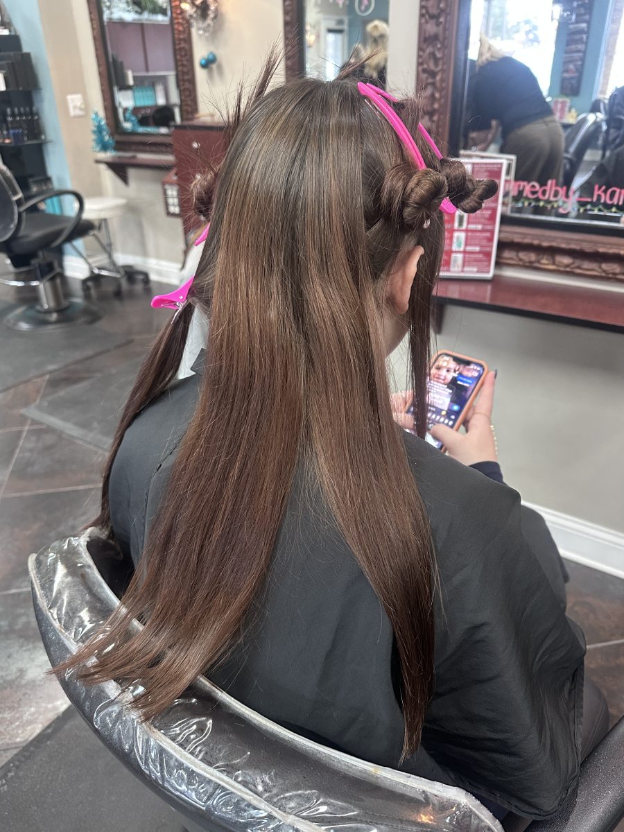 Calico before treatment by Kameryn Bell at K Bella Hair Studio in Brighton, MI