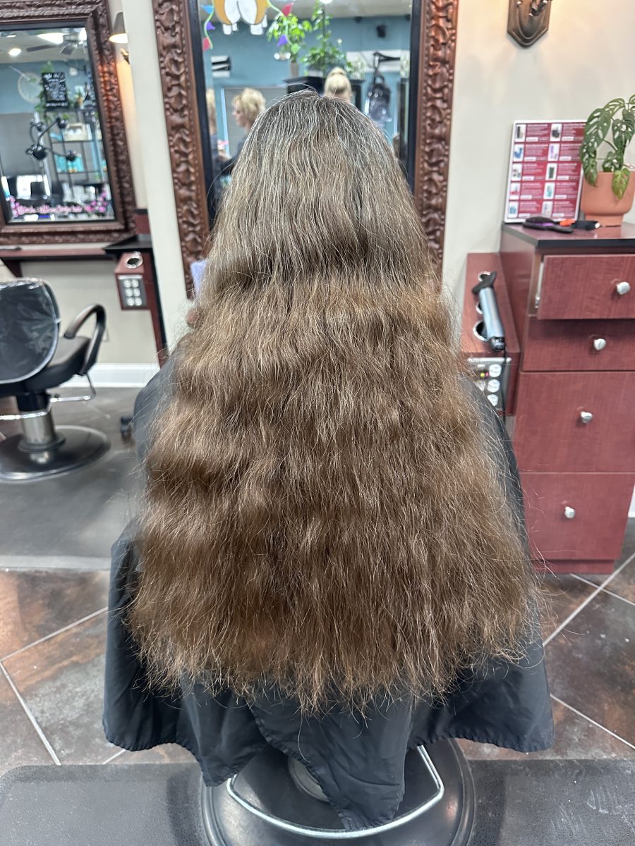Haircut and all over color before treatment by Kameryn Bell at K Bella Hair Studio & Spa in Brighton, MI