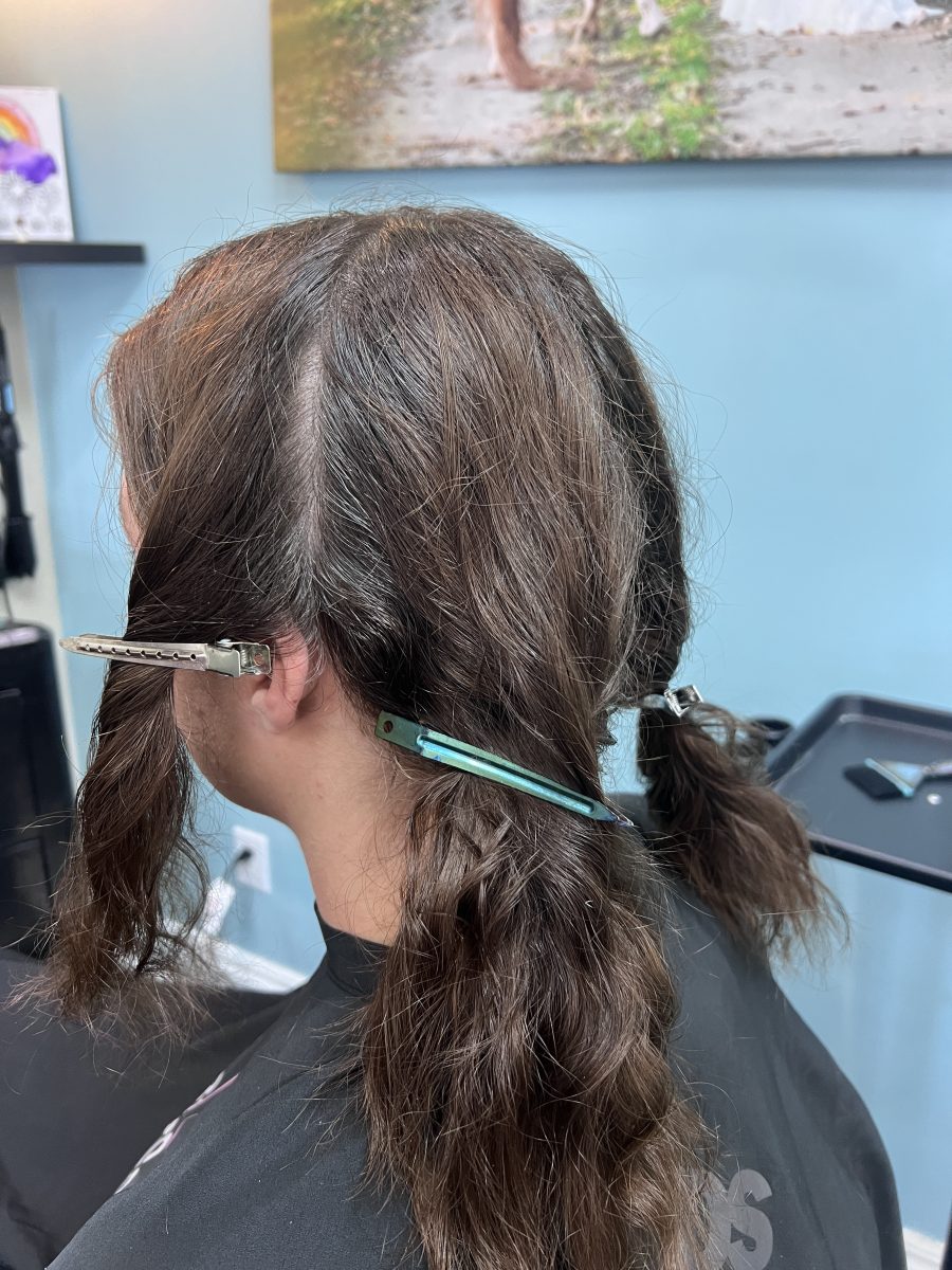 Tint Retouch and Haircut before treatment by Kathryn McGinty at K Bella Hair Studio & Spa in Brighton, MI