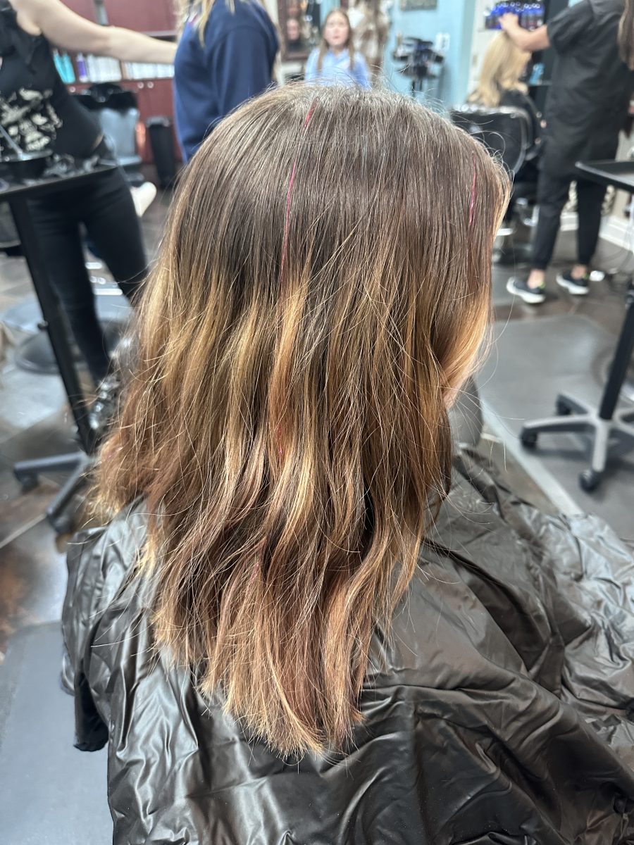 Color correction & layered cut before treatment by Kameryn Bell at K Bella Hair Studio in Brighton, MI