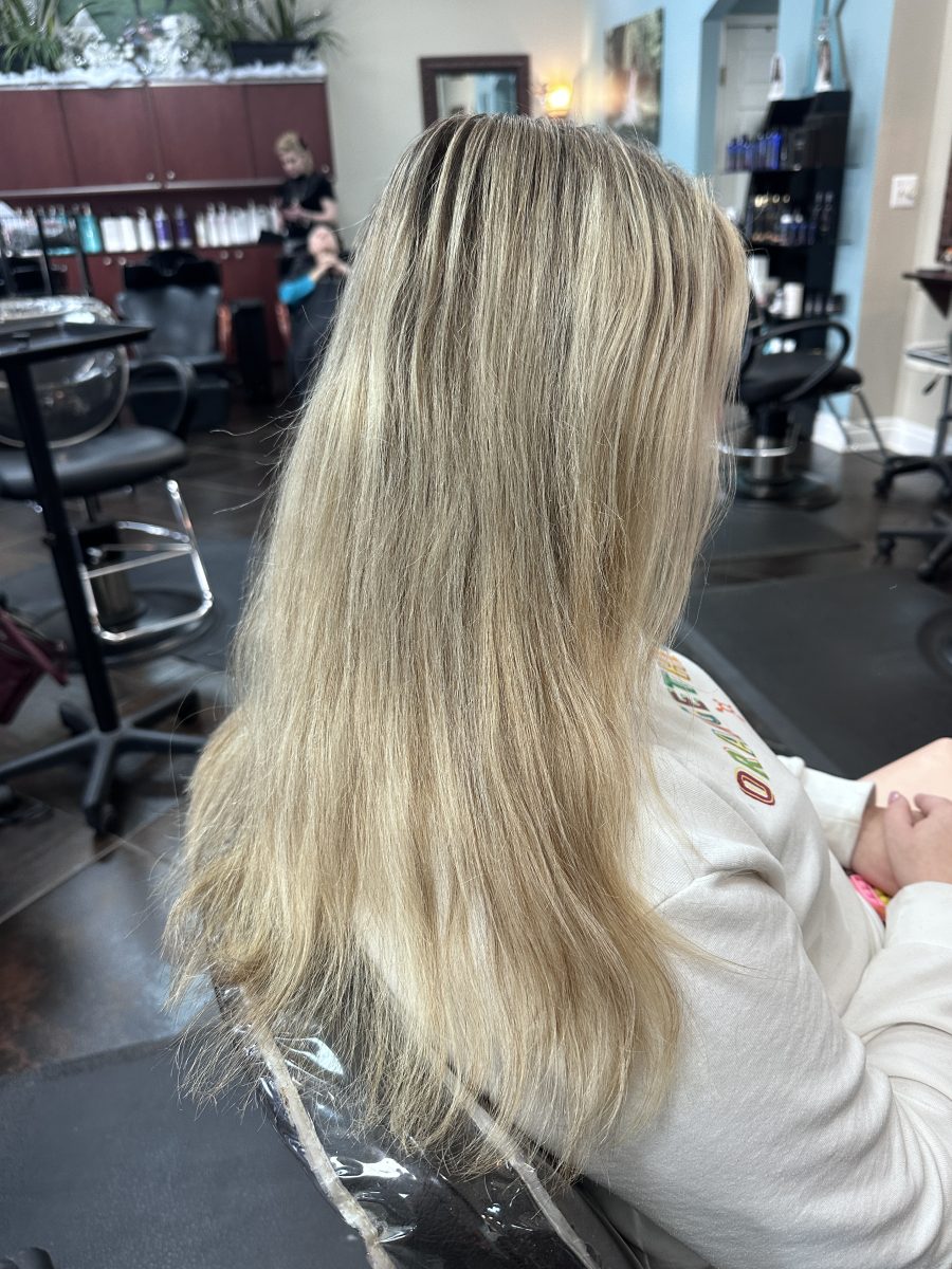 Blonde to brunette before treatment by Kameryn Bell at K Bella Hair Studio in Brighton, MI